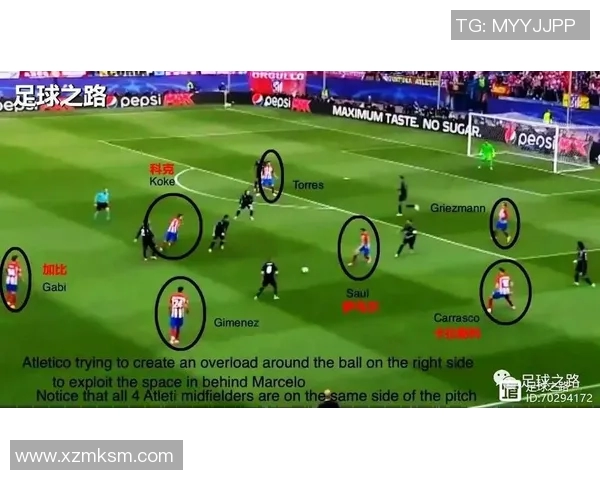 布赖顿与莱切斯的精彩对决分析及战术解析